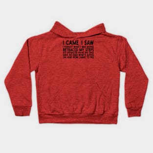 i came, i saw i forgot what i was doing retraced my steps got distracted on my way back have no idea what's going on and now i have to pee Kids Hoodie